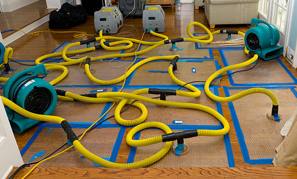 Professional Crawl Space Water Removal technician working in Cement City, MI